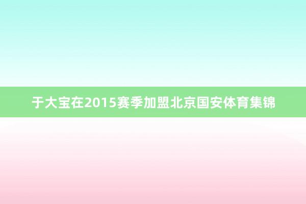 于大宝在2015赛季加盟北京国安体育集锦