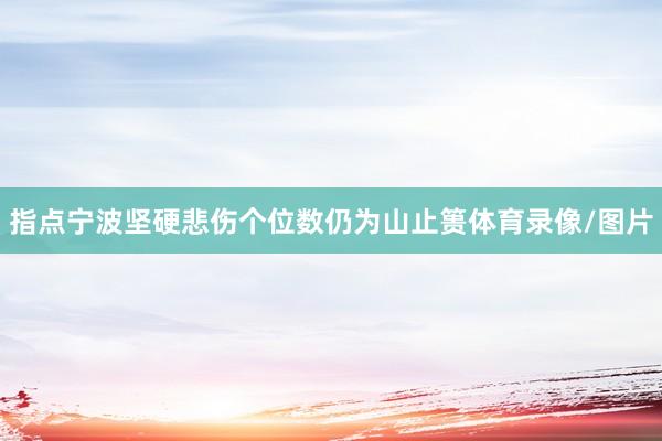 指点宁波坚硬悲伤个位数仍为山止篑体育录像/图片