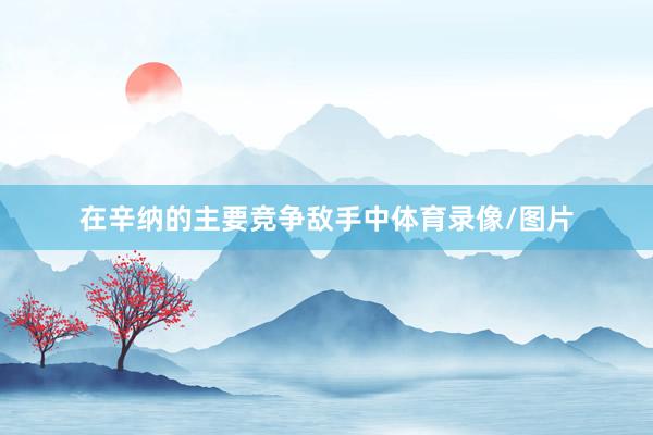 在辛纳的主要竞争敌手中体育录像/图片