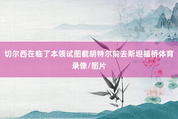 切尔西在临了本领试图截胡特尔前去斯坦福桥体育录像/图片