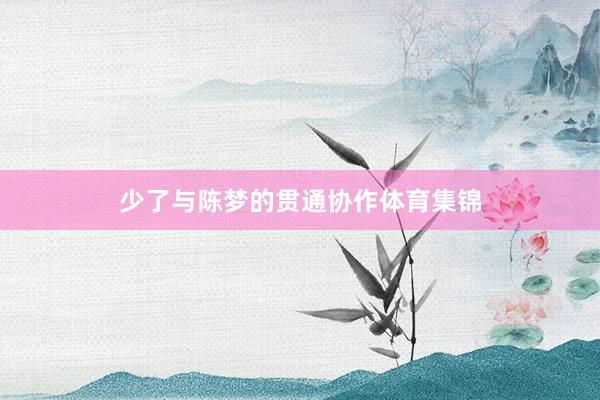 少了与陈梦的贯通协作体育集锦
