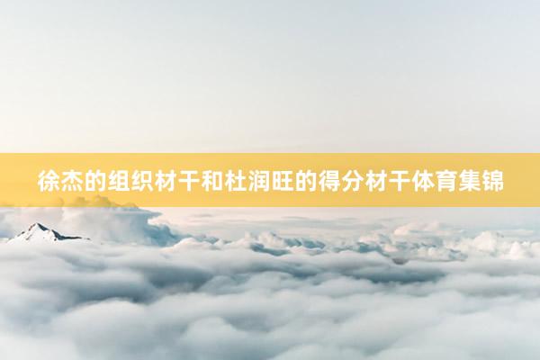 徐杰的组织材干和杜润旺的得分材干体育集锦