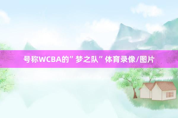 号称WCBA的”梦之队”体育录像/图片