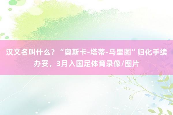 汉文名叫什么？“奥斯卡-塔蒂-马里图”归化手续办妥，3月入国足体育录像/图片