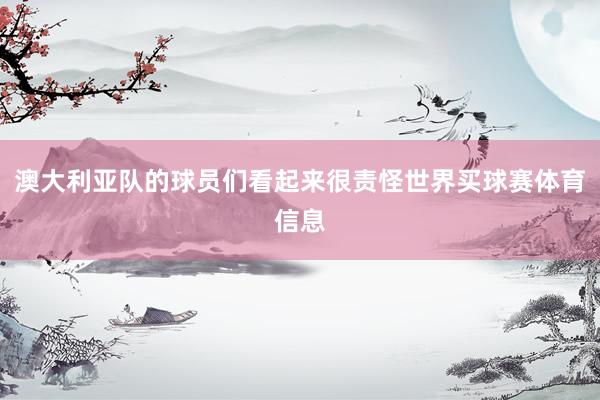 澳大利亚队的球员们看起来很责怪世界买球赛体育信息