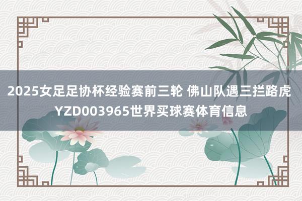 2025女足足协杯经验赛前三轮 佛山队遇三拦路虎 YZD003965世界买球赛体育信息