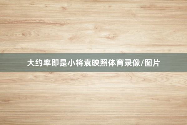 大约率即是小将袁映照体育录像/图片