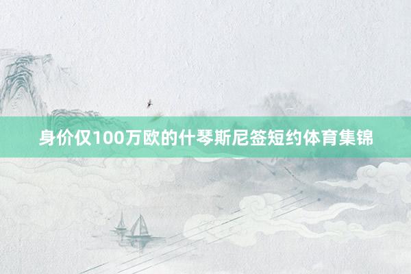 身价仅100万欧的什琴斯尼签短约体育集锦