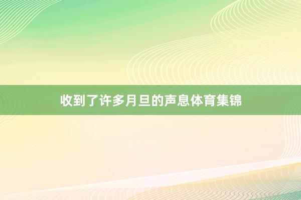 收到了许多月旦的声息体育集锦
