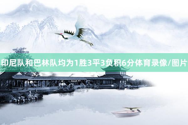 印尼队和巴林队均为1胜3平3负积6分体育录像/图片