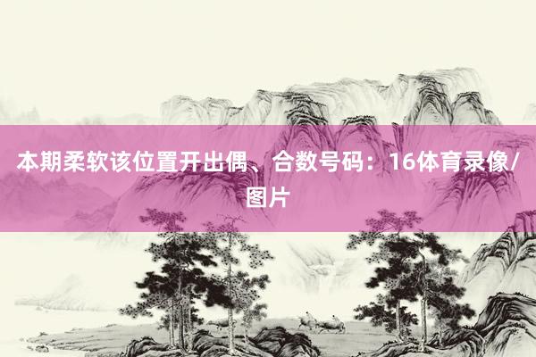 本期柔软该位置开出偶、合数号码：16体育录像/图片