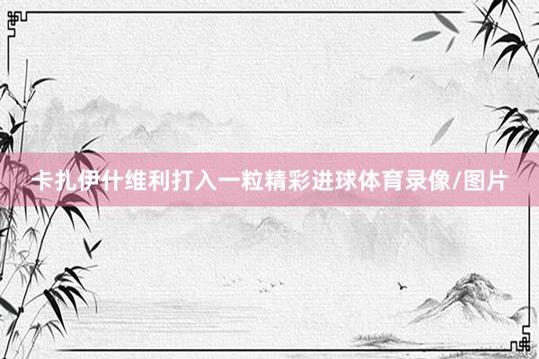 卡扎伊什维利打入一粒精彩进球体育录像/图片
