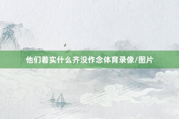 他们着实什么齐没作念体育录像/图片