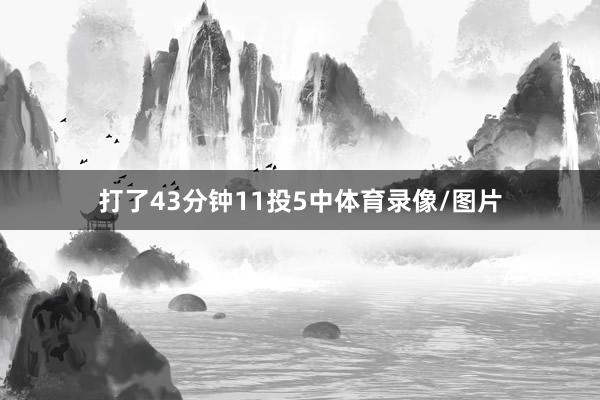 打了43分钟11投5中体育录像/图片