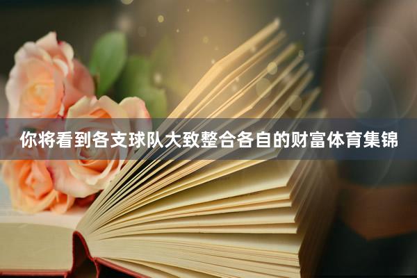 你将看到各支球队大致整合各自的财富体育集锦