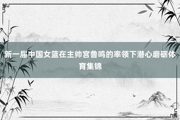 新一届中国女篮在主帅宫鲁鸣的率领下潜心磨砺体育集锦