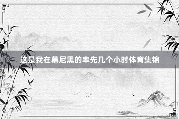 这是我在慕尼黑的率先几个小时体育集锦