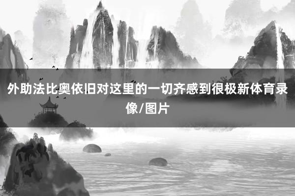 外助法比奥依旧对这里的一切齐感到很极新体育录像/图片