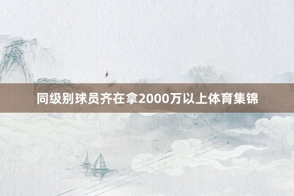 同级别球员齐在拿2000万以上体育集锦