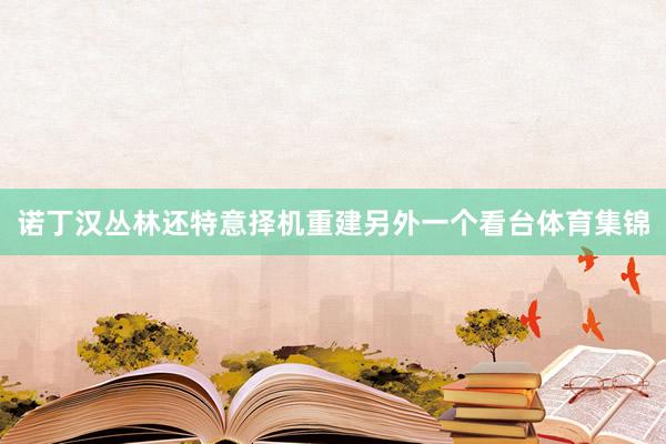 诺丁汉丛林还特意择机重建另外一个看台体育集锦