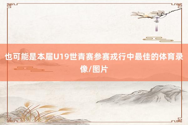 也可能是本届U19世青赛参赛戎行中最佳的体育录像/图片