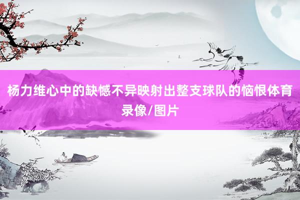 杨力维心中的缺憾不异映射出整支球队的恼恨体育录像/图片