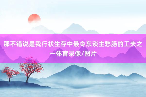 那不错说是我行状生存中最令东谈主愁肠的工夫之一体育录像/图片