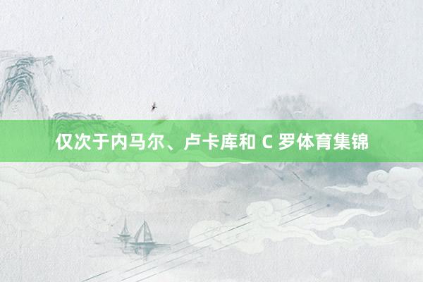 仅次于内马尔、卢卡库和 C 罗体育集锦