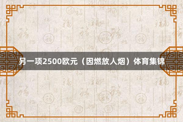 另一项2500欧元（因燃放人烟）体育集锦