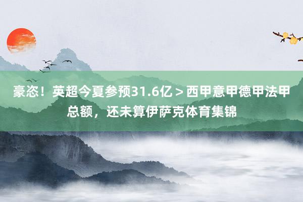 豪恣！英超今夏参预31.6亿＞西甲意甲德甲法甲总额，还未算伊萨克体育集锦