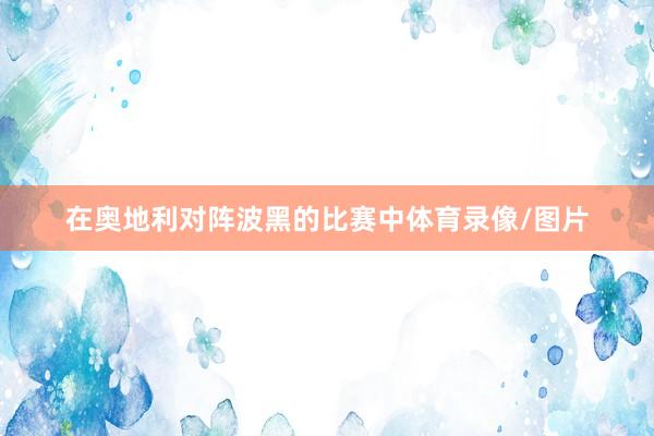 在奥地利对阵波黑的比赛中体育录像/图片