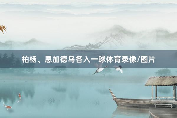 柏杨、恩加德乌各入一球体育录像/图片