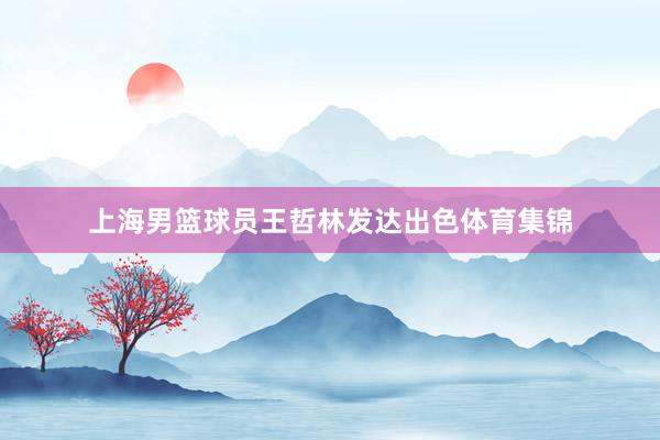上海男篮球员王哲林发达出色体育集锦