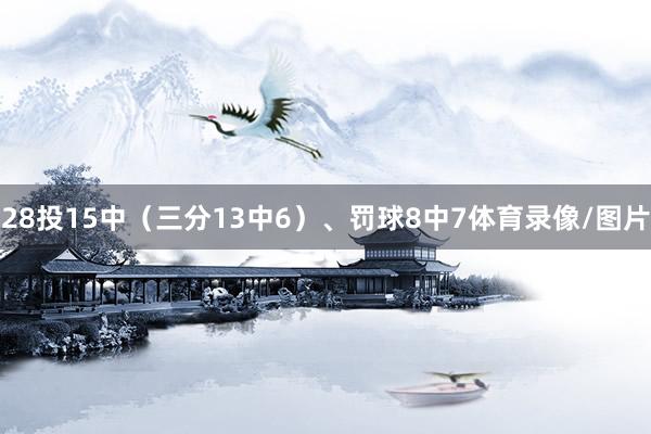 28投15中（三分13中6）、罚球8中7体育录像/图片