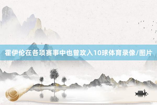霍伊伦在各项赛事中也曾攻入10球体育录像/图片