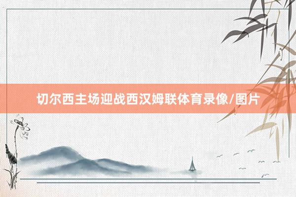 切尔西主场迎战西汉姆联体育录像/图片