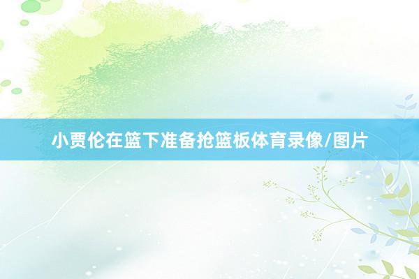 小贾伦在篮下准备抢篮板体育录像/图片