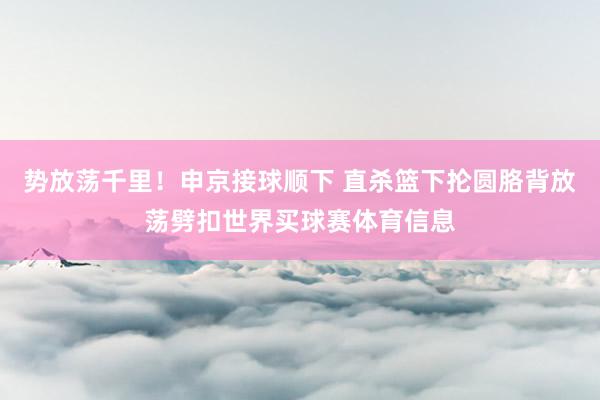 势放荡千里！申京接球顺下 直杀篮下抡圆胳背放荡劈扣世界买球赛体育信息