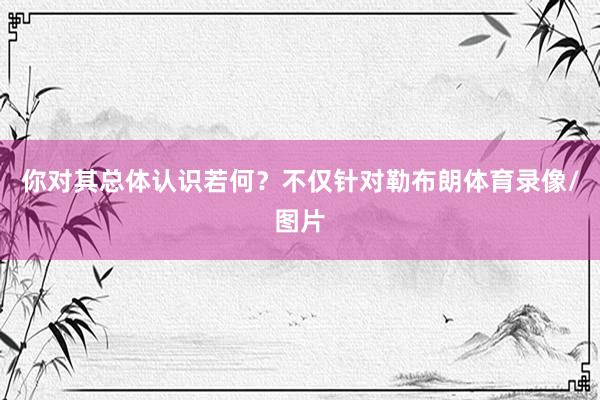 你对其总体认识若何？不仅针对勒布朗体育录像/图片