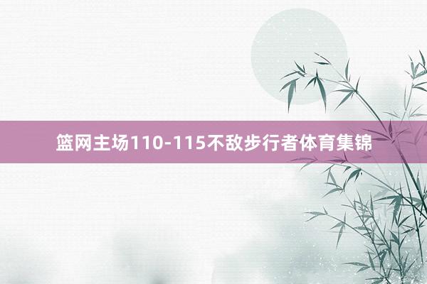 篮网主场110-115不敌步行者体育集锦