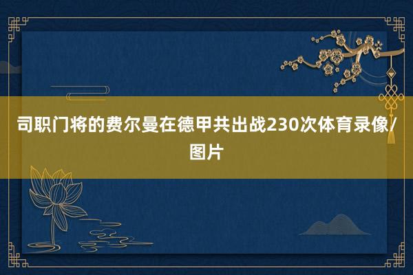 司职门将的费尔曼在德甲共出战230次体育录像/图片