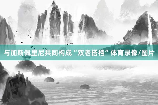 与加斯佩里尼共同构成“双老搭档”体育录像/图片