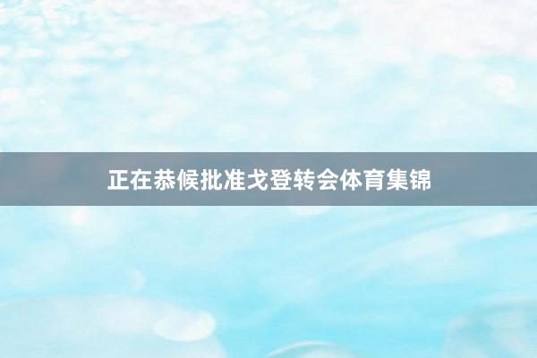 正在恭候批准戈登转会体育集锦